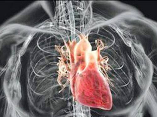 邵东县牛马司镇老年公寓,混那老年人住养医疗娱乐护理 邵东县牛马司镇老年公寓,混那老年人住养医疗娱乐护理